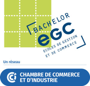 logo-EGC-CCI